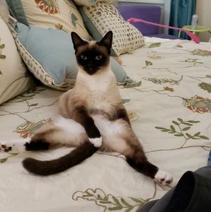 Meet your Posher, Meg